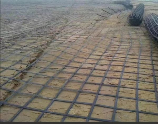 山东钢塑格栅,钢塑格栅厂家"钢塑格栅.jpg"