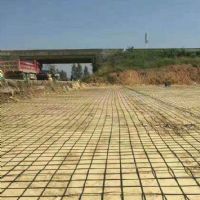 <img src=upfile/images/2026/04/01/small3_17750051454671049.jpg height=300>